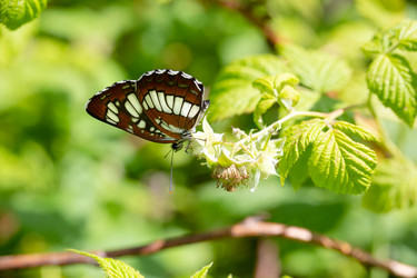 Similar image 21670360