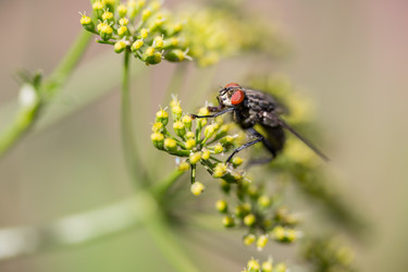 Similar image 21670730