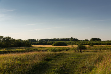 Similar image 21670363