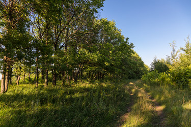 Similar image 21670365