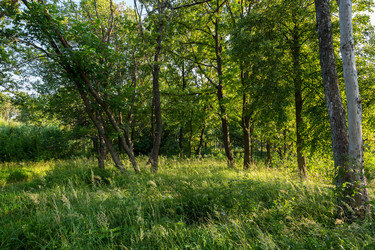 Similar image 21670366