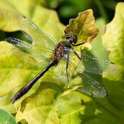 Similar image 21670731