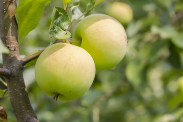 Similar image 21670732