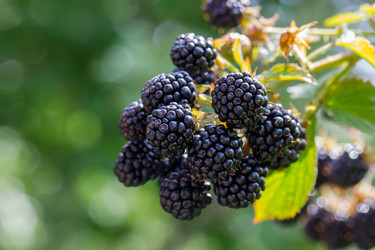 Similar image 21670734