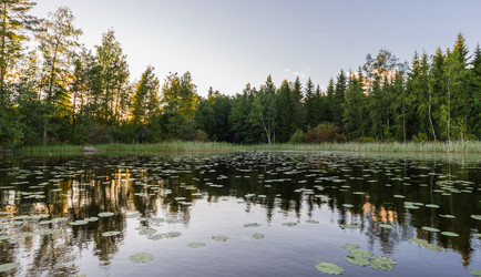 Similar image 21670439