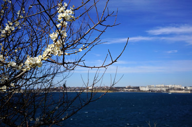 Similar image 21670369