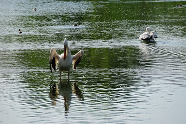 Similar image 21670370