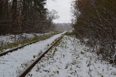 Similar image 21672599