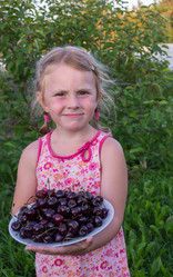 Similar image 21672235