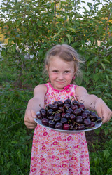 Similar image 21672238