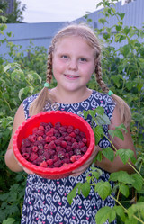 Similar image 21672444