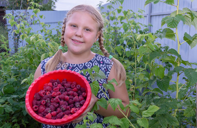 Similar image 21672474