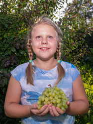 Similar image 21672493