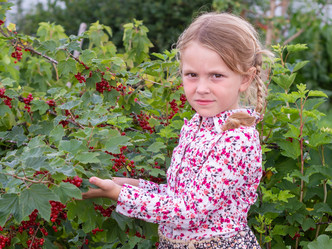 Similar image 21673160