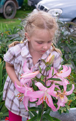 Similar image 21673165