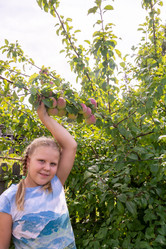 Similar image 21673763