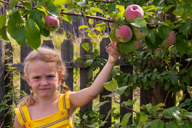 Similar image 21673771