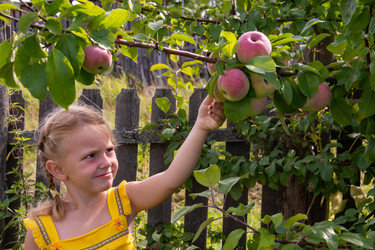 Similar image 21673773