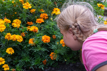 Similar image 21673779