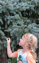 Similar image 21673783