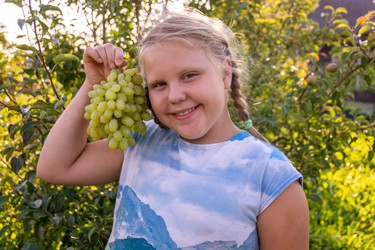 Similar image 21674030