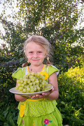 Similar image 21674034