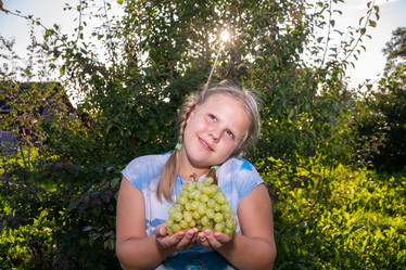 Similar image 21671961