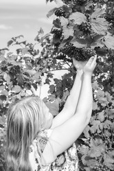 Similar image 21671962