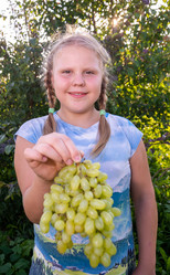 Similar image 21672024