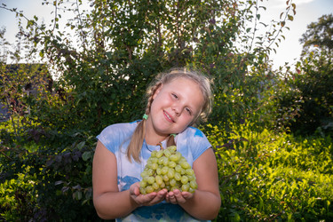 Similar image 21672025