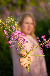 Similar image 21672249