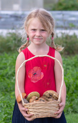 Similar image 21672253