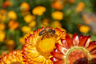 Similar image 21670749