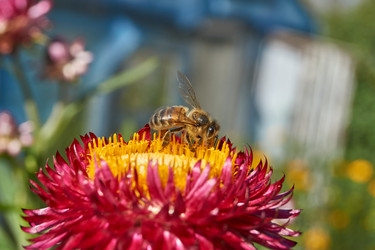 Similar image 21670750