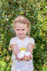 Similar image 21672337