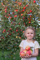 Similar image 21672375