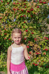 Similar image 21672409