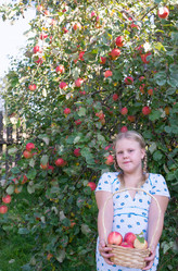 Similar image 21672413