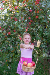 Similar image 21672448