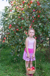 Similar image 21672450