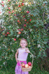 Similar image 21672454