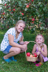 Similar image 21673173