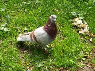 Similar image 21670774