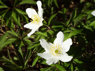 Similar image 21670776