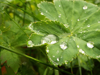 Similar image 21670778