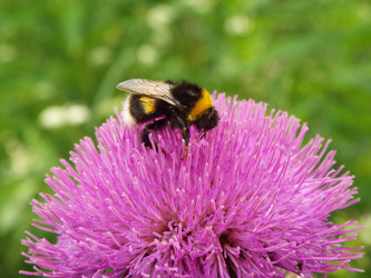 Similar image 21670779