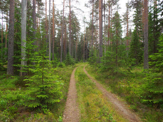 Similar image 21670780