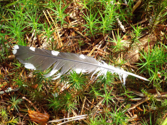 Similar image 21670781