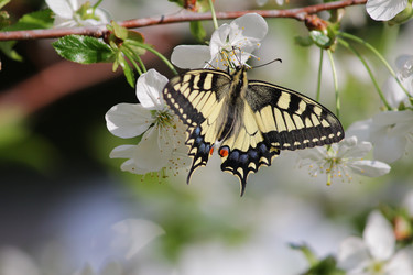 Similar image 21671291