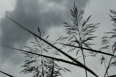 Similar image 21671292